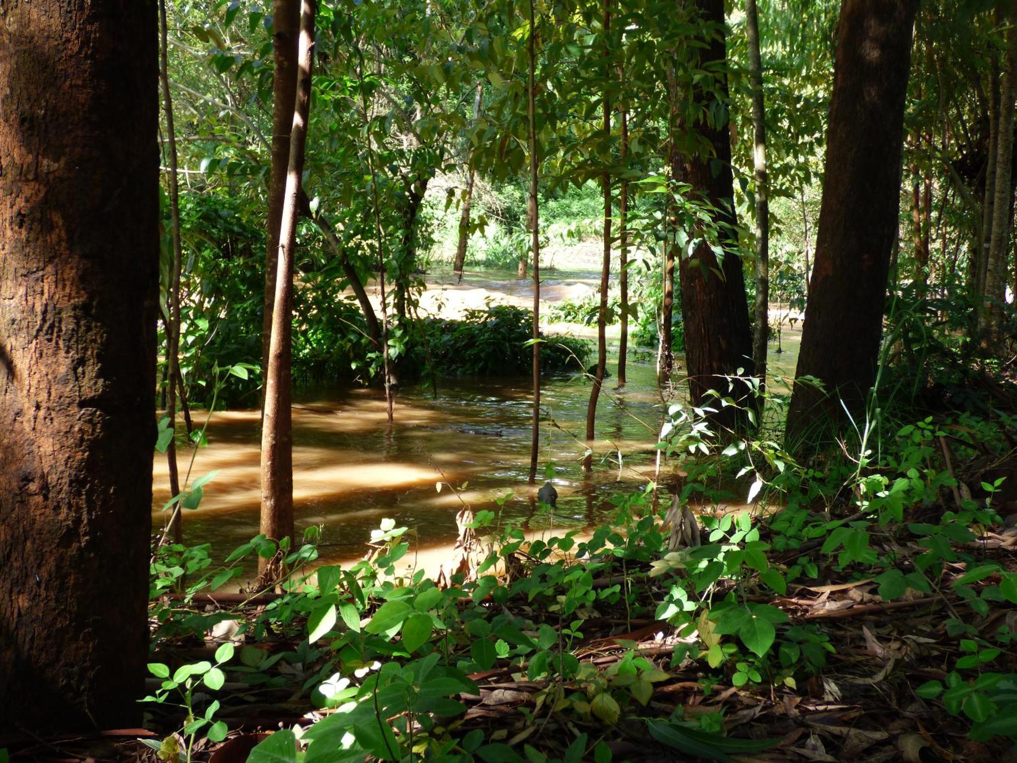 ניירי Le Pristine Wellness And Healing Hotel מראה חיצוני תמונה